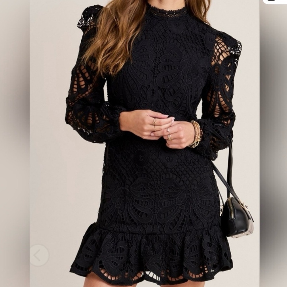 Francesca's Black Lace Long Sleeve Dress